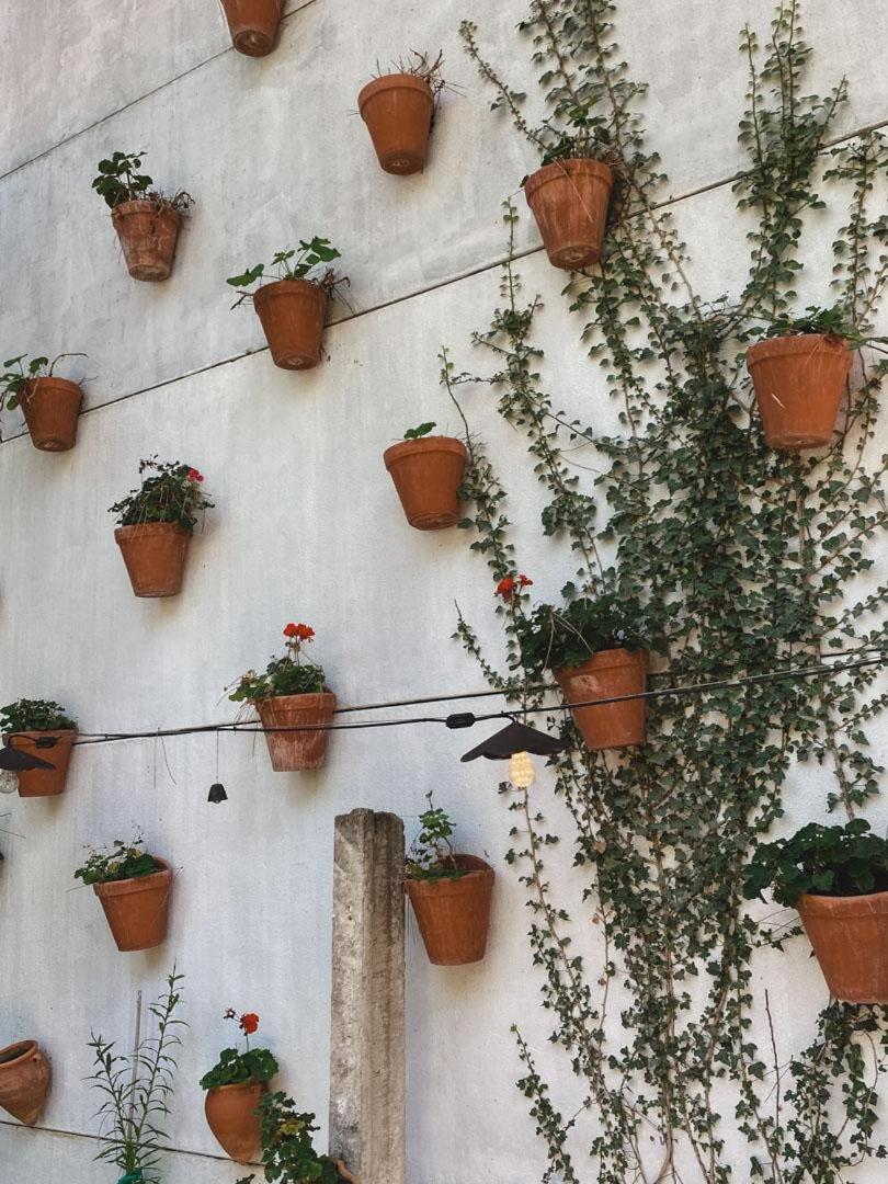 Hotel Boutique Pinar by Bossh! Hotels