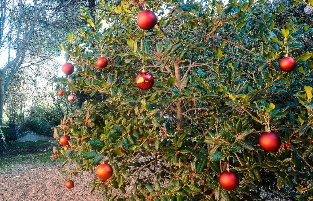 Hotel Boutique Pinar by Bossh! Hotels