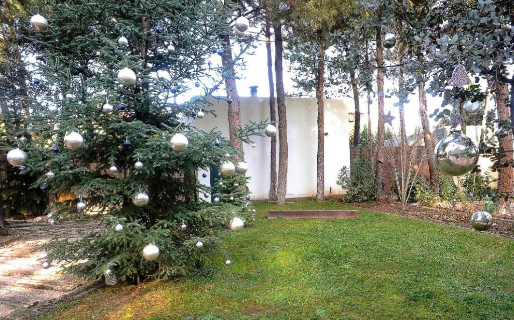 Hotel Boutique Pinar by Bossh! Hotels