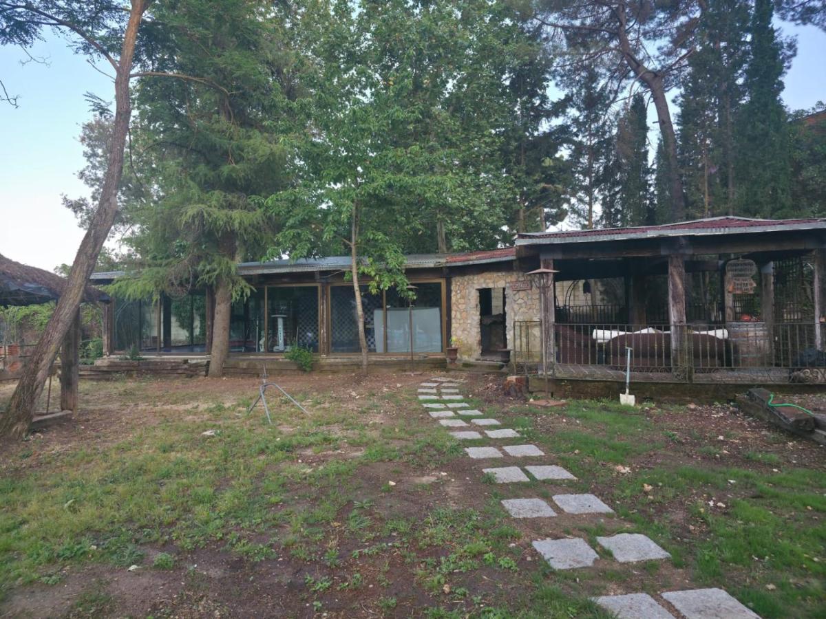 Hotel Boutique Pinar by Bossh! Hotels