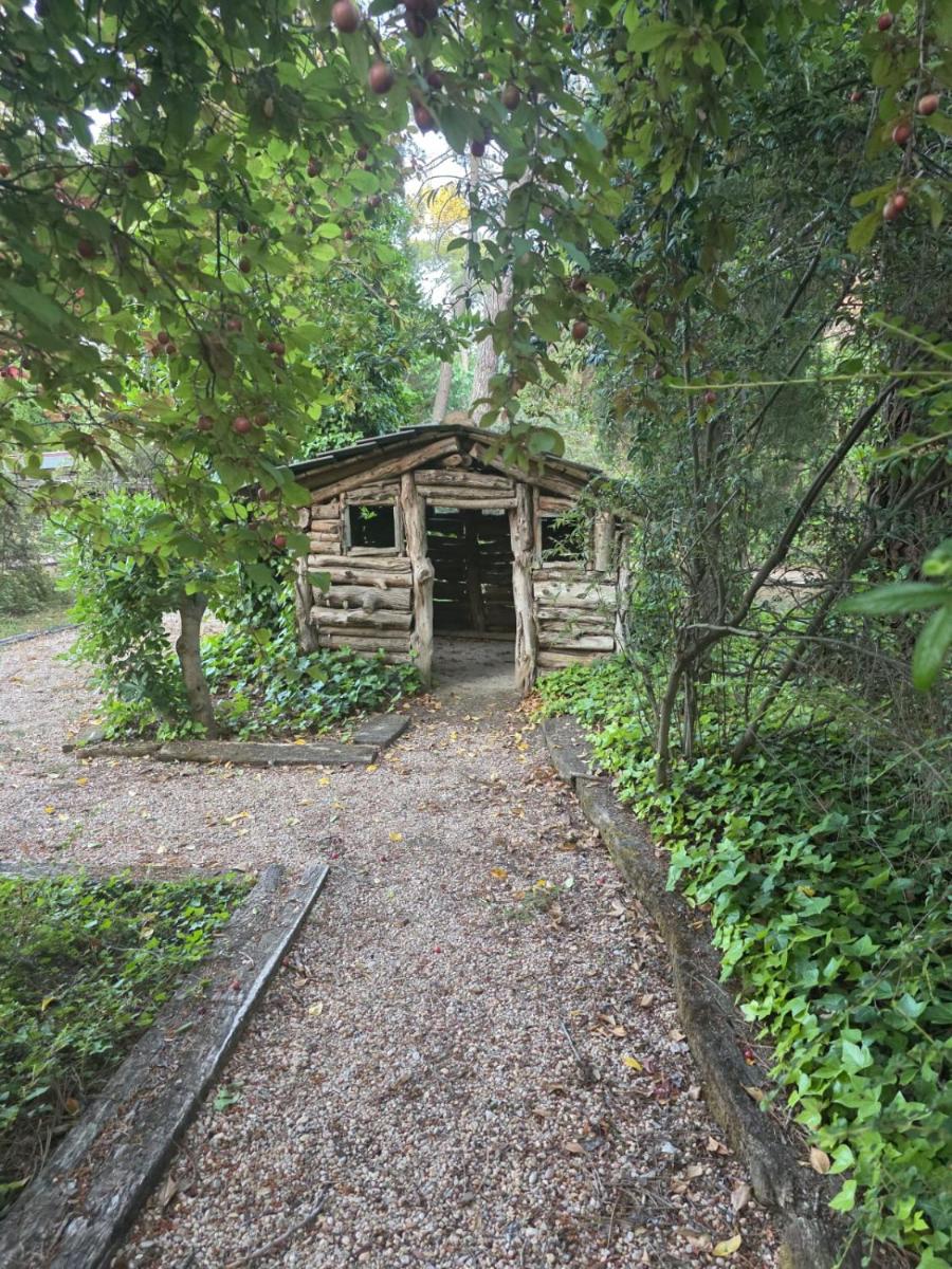 Hotel Boutique Pinar by Bossh! Hotels