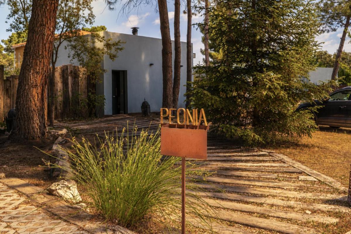 Hotel Boutique Pinar by Bossh! Hotels