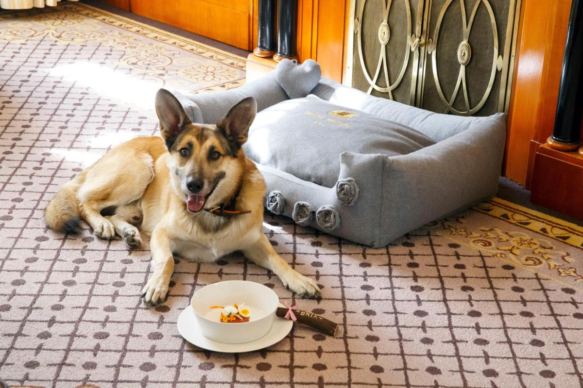 Hotel Bristol, a Luxury Collection Hotel, Vienna