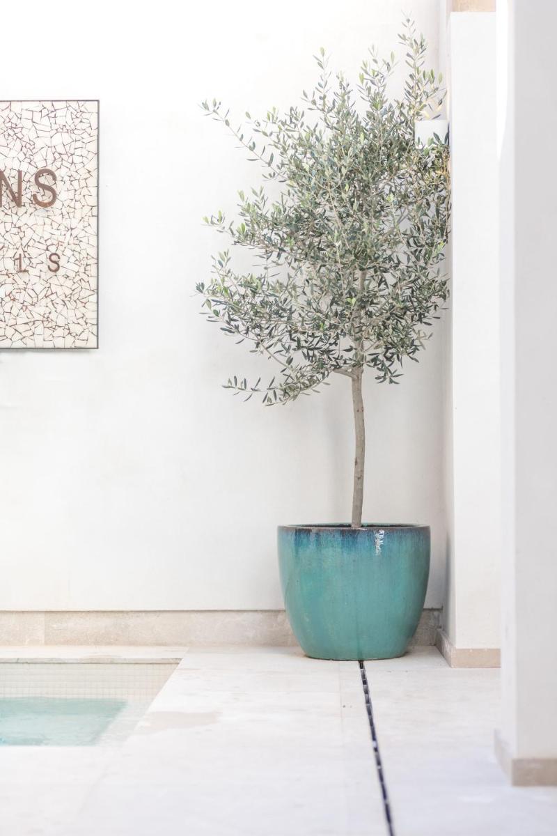 Bordoy Mostatxins - Hotel Boutique Adults Only