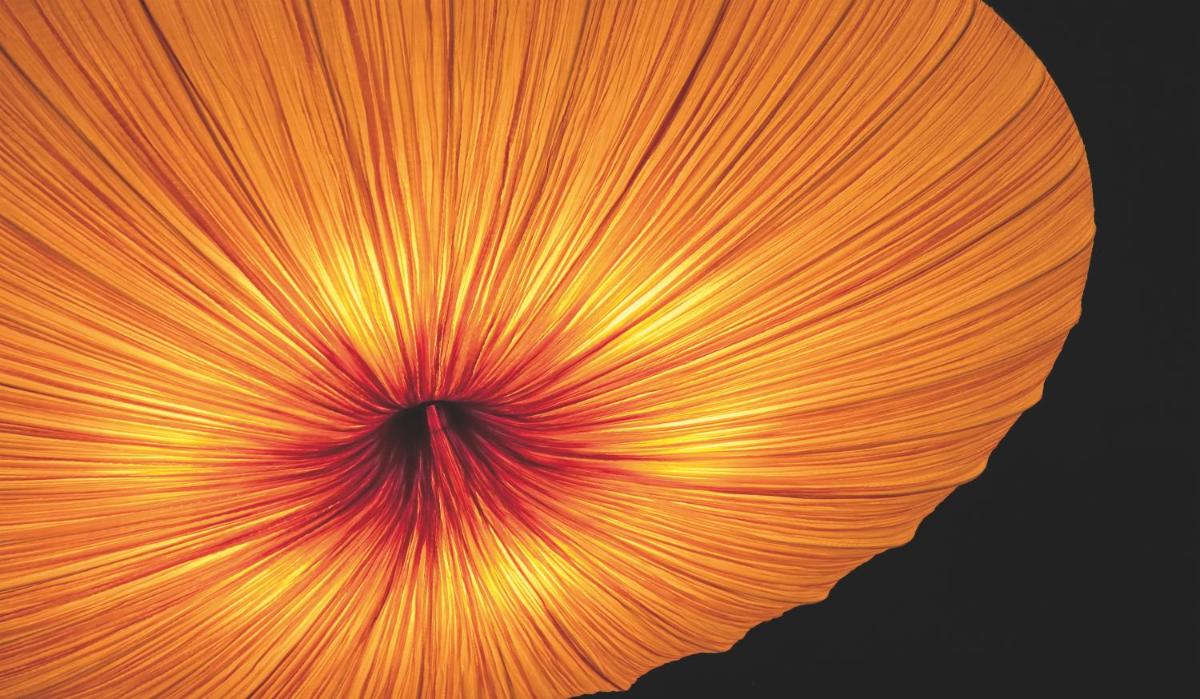 Hotel Casa Fuster G.L Monumento