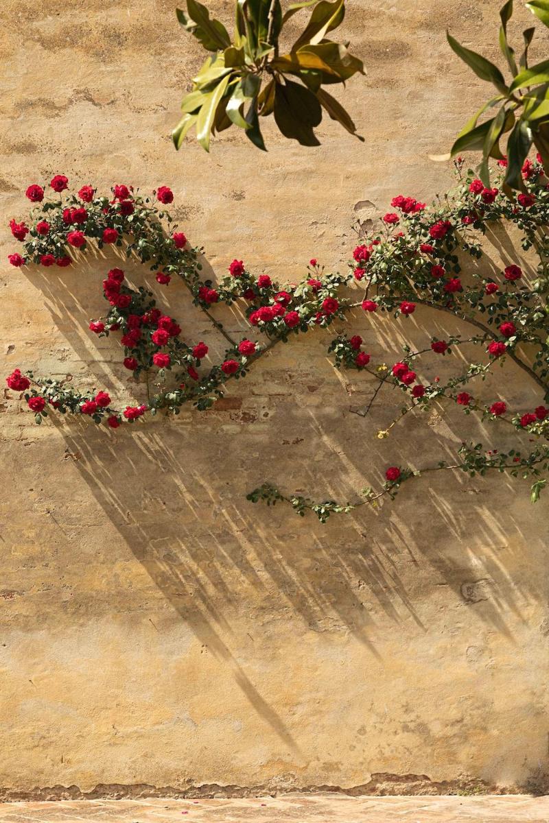 Hotel Certosa Di Maggiano