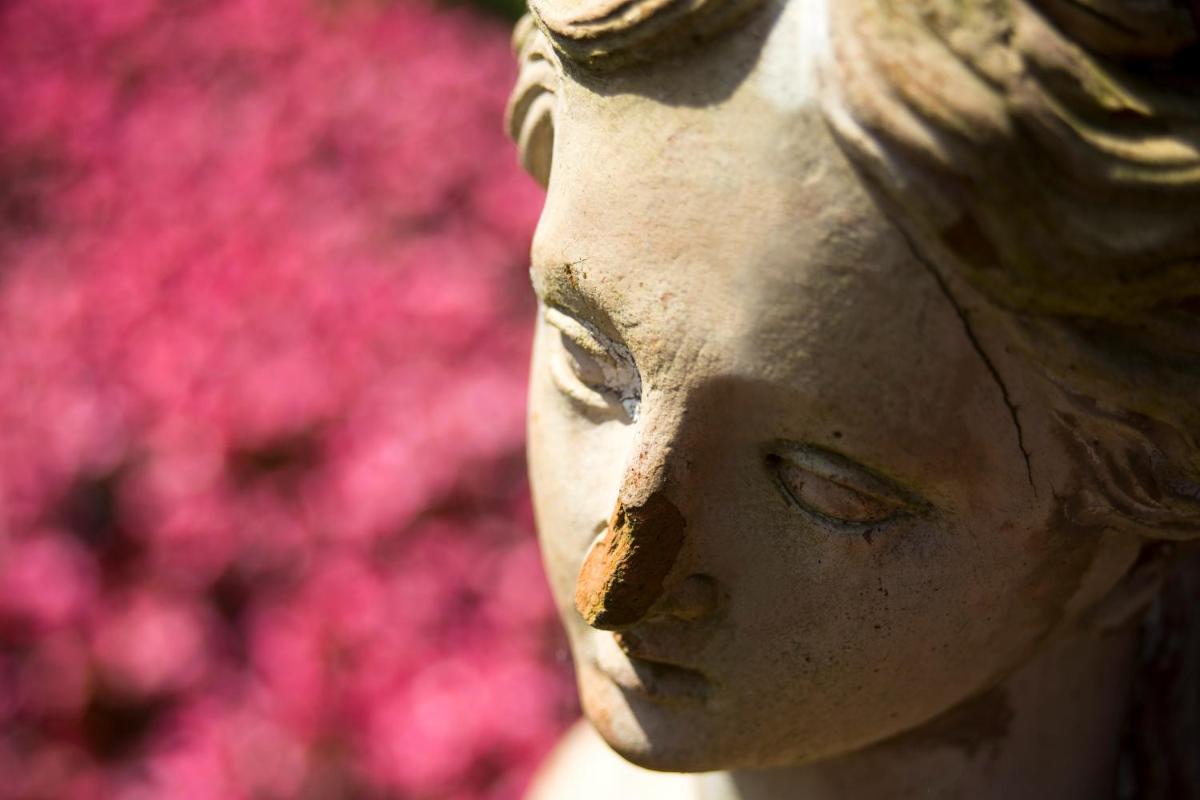 Certosa di Pontignano Residenza d'Epoca - Place of Charme