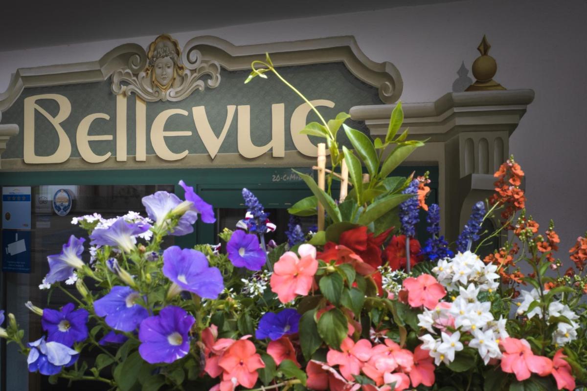 Hotel & Chalet Bellevue