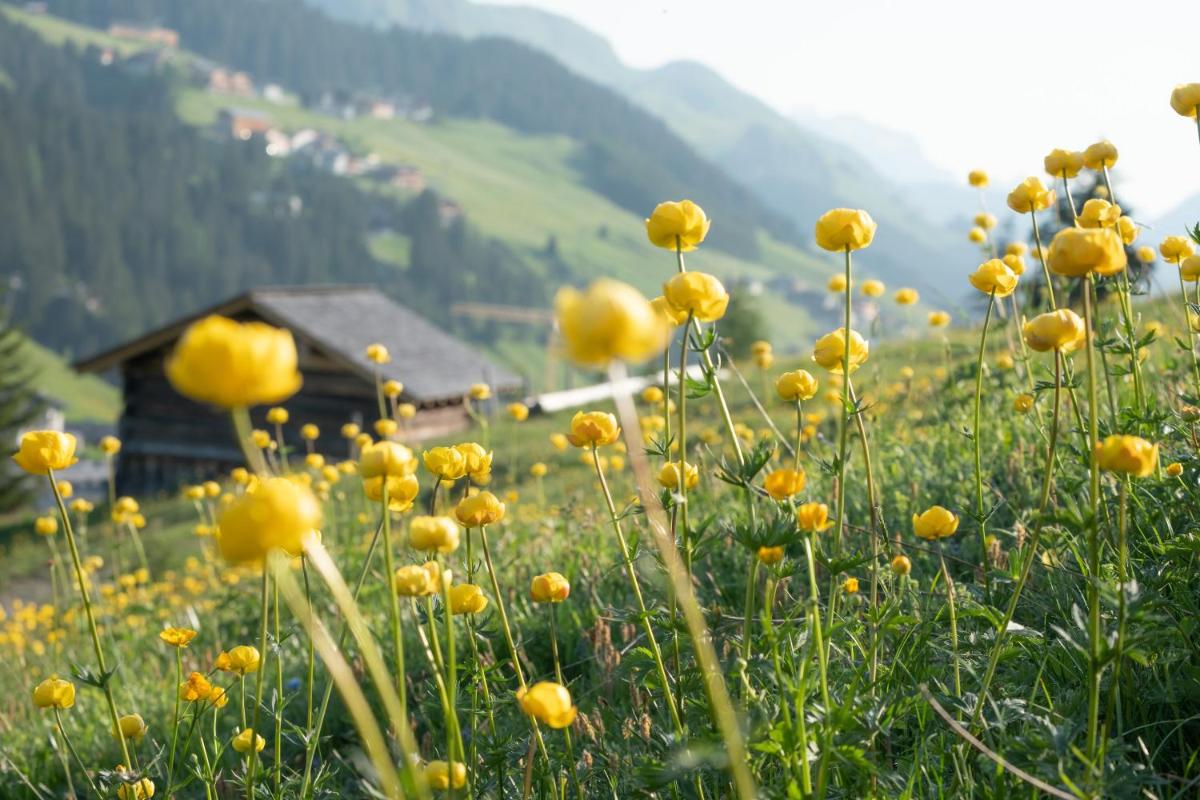 Hotel & Chalet Bellevue