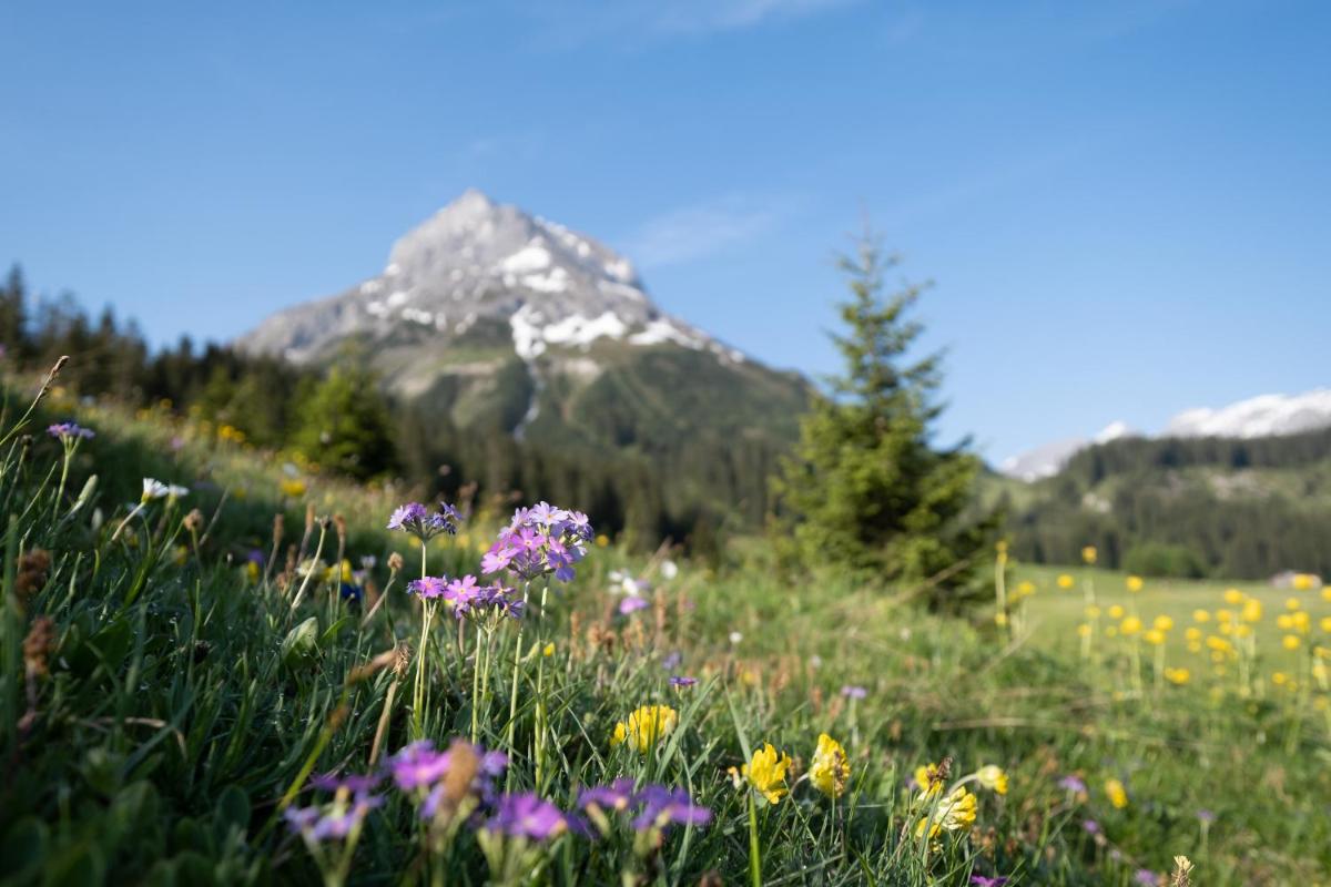 Hotel & Chalet Bellevue