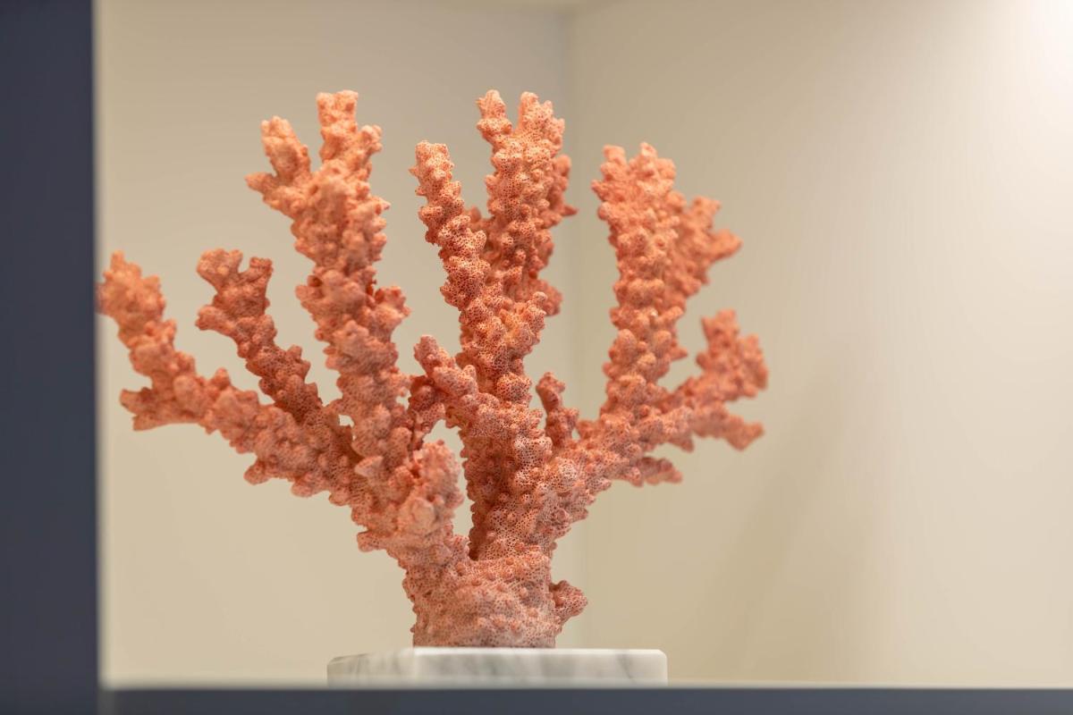 Hotel Claude Marbella