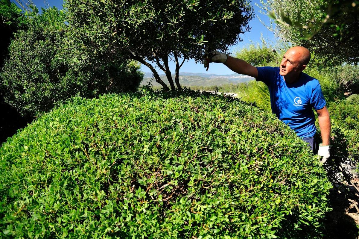 Hotel Club Saraceno - Bovis Hotels