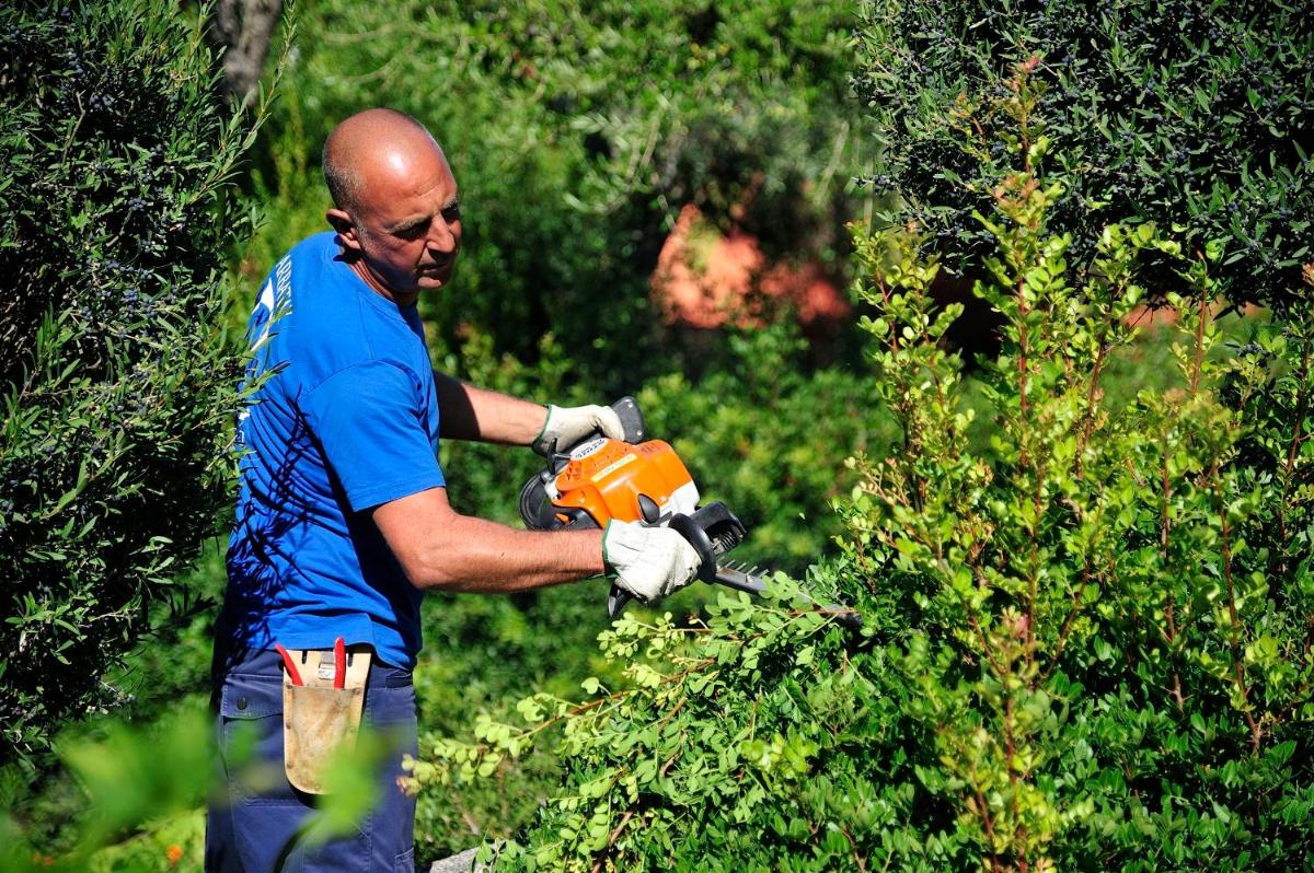 Hotel Club Saraceno - Bovis Hotels