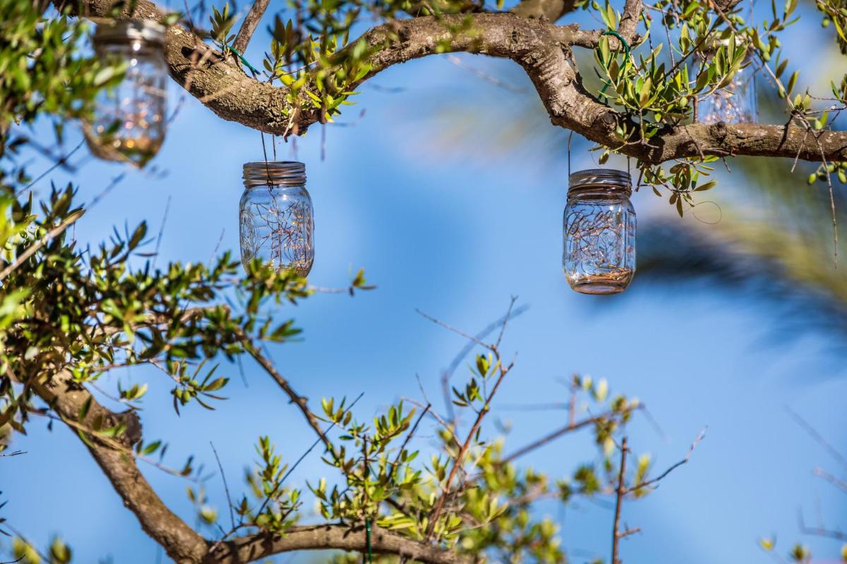 Hotel Club Saraceno - Bovis Hotels