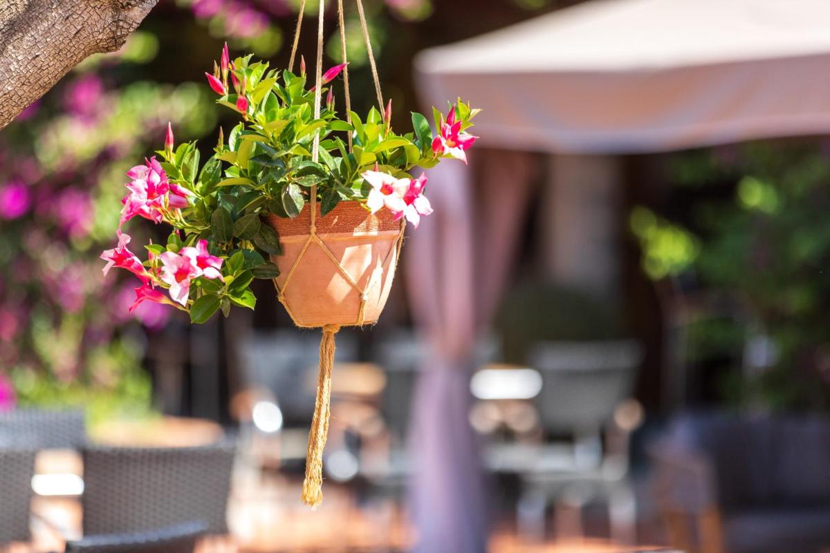 Hotel Club Saraceno - Bovis Hotels