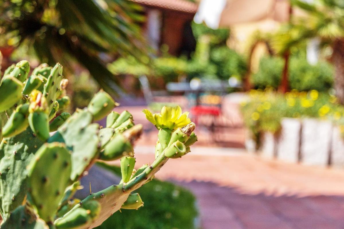 Hotel Club Saraceno - Bovis Hotels