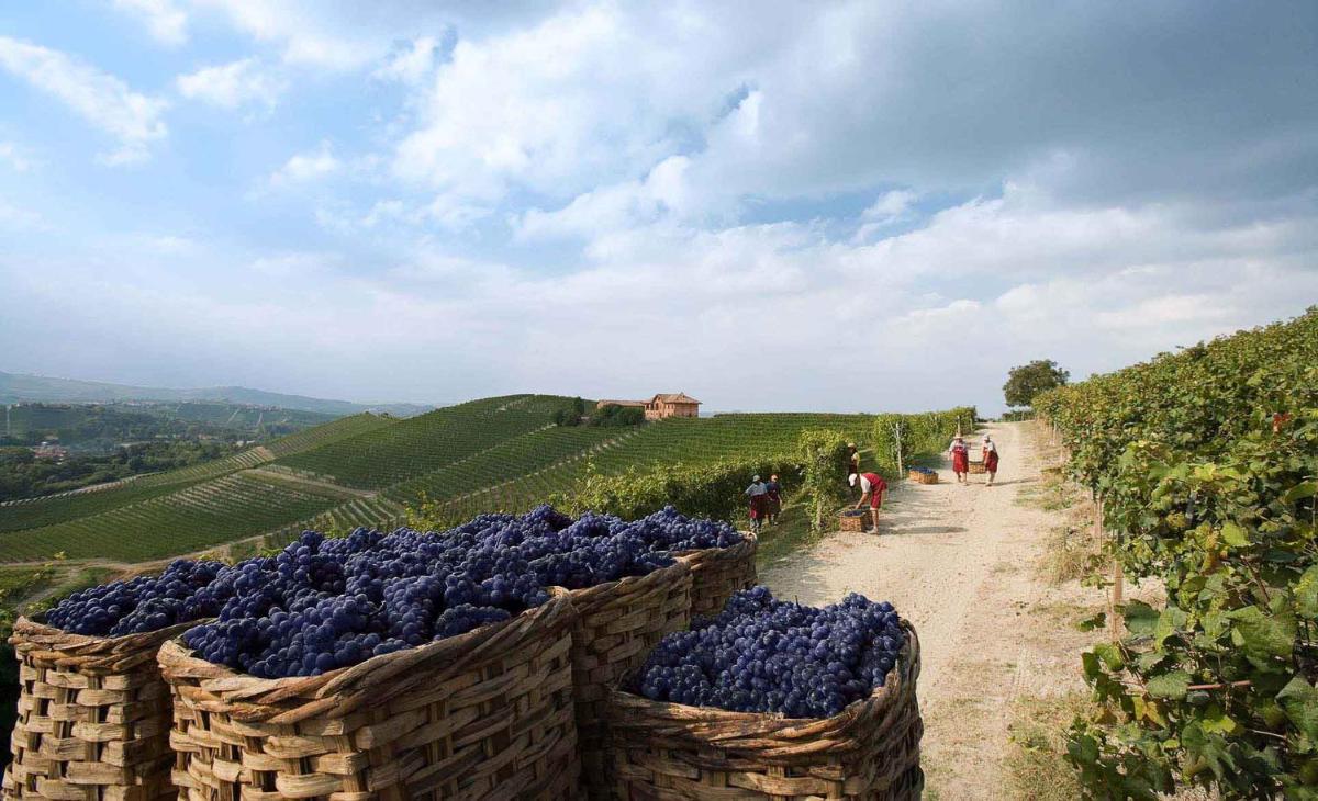 Villaggio Narrante - Le Case dei Conti Mirafiore