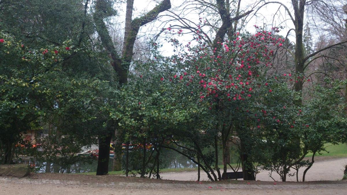 Hotel do Parque