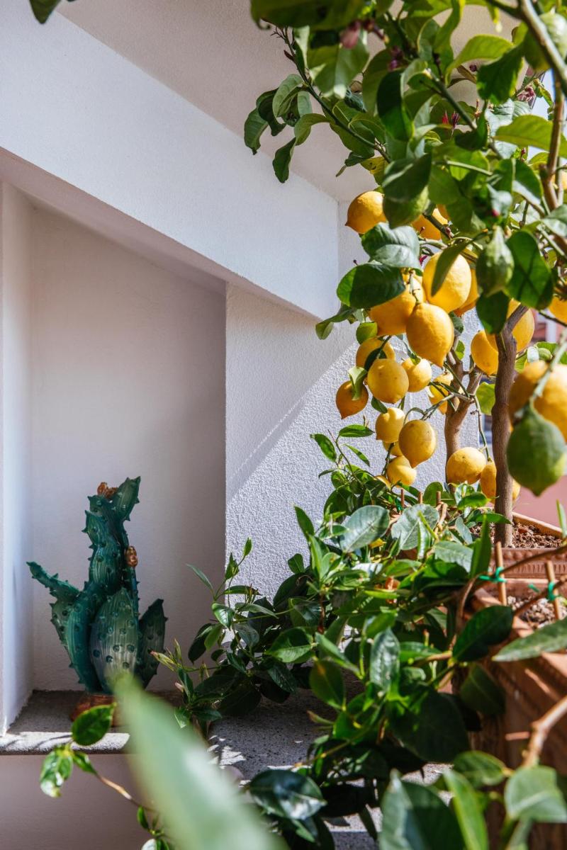 Boutique Hotel Don Alfonso 1890