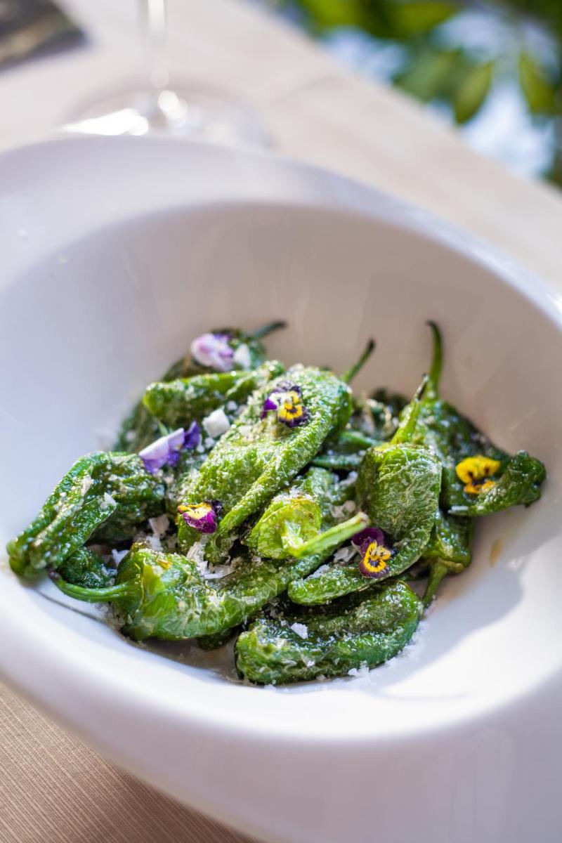 Hotel Palacio de Hemingway