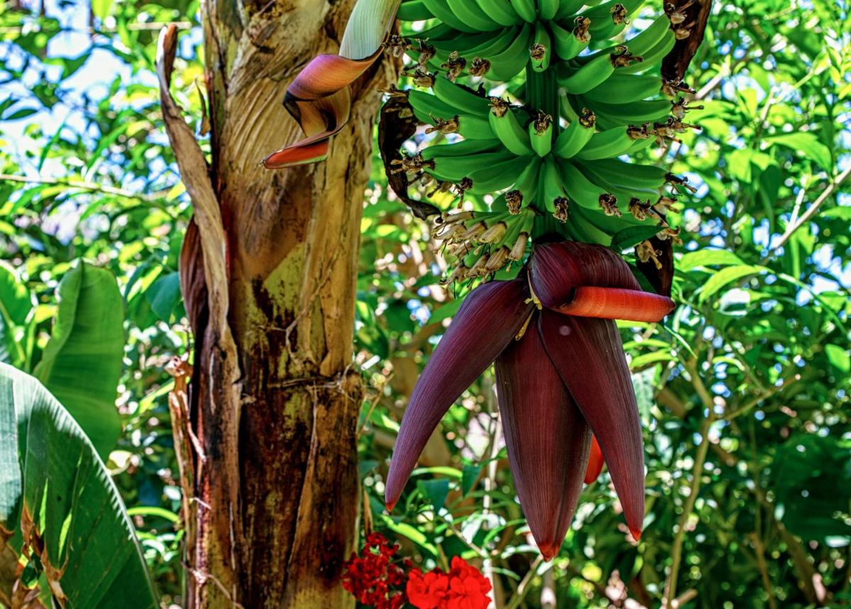 Hotel Emblemático San Marcos