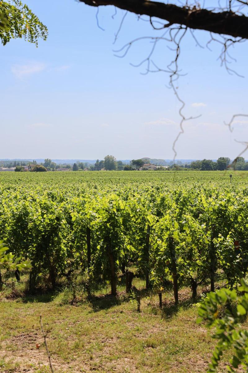 Château Hôtel Grand Barrail