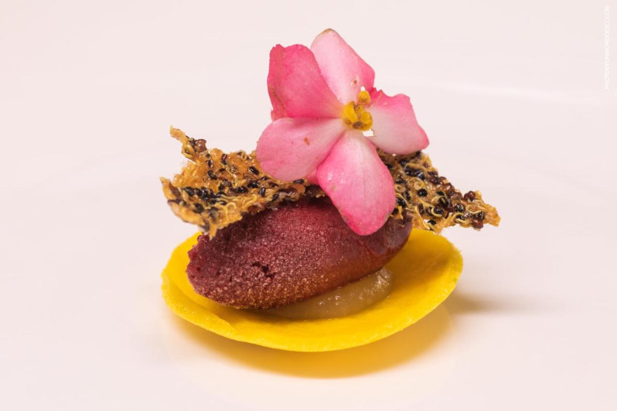 Grand Hotel Alassio Beach & Spa Resort - The Leading Hotels of the World