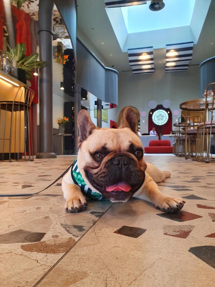 Hotel Grand Koper