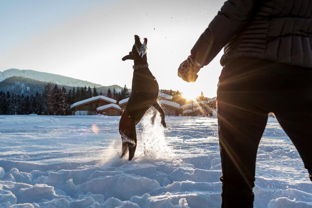 Relais & Châteaux Gut Steinbach Hotel Chalets SPA