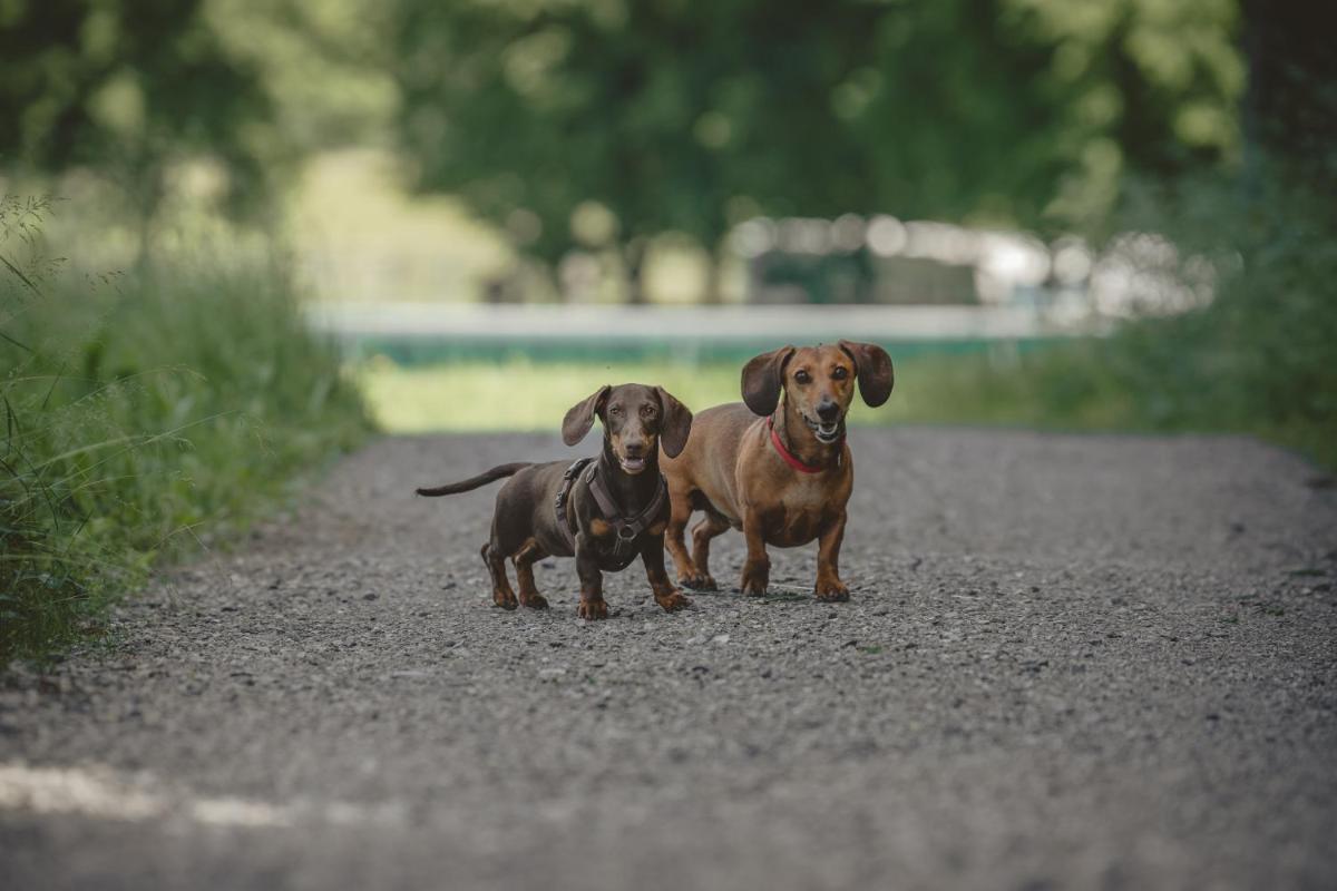 Relais & Châteaux Gut Steinbach Hotel Chalets SPA
