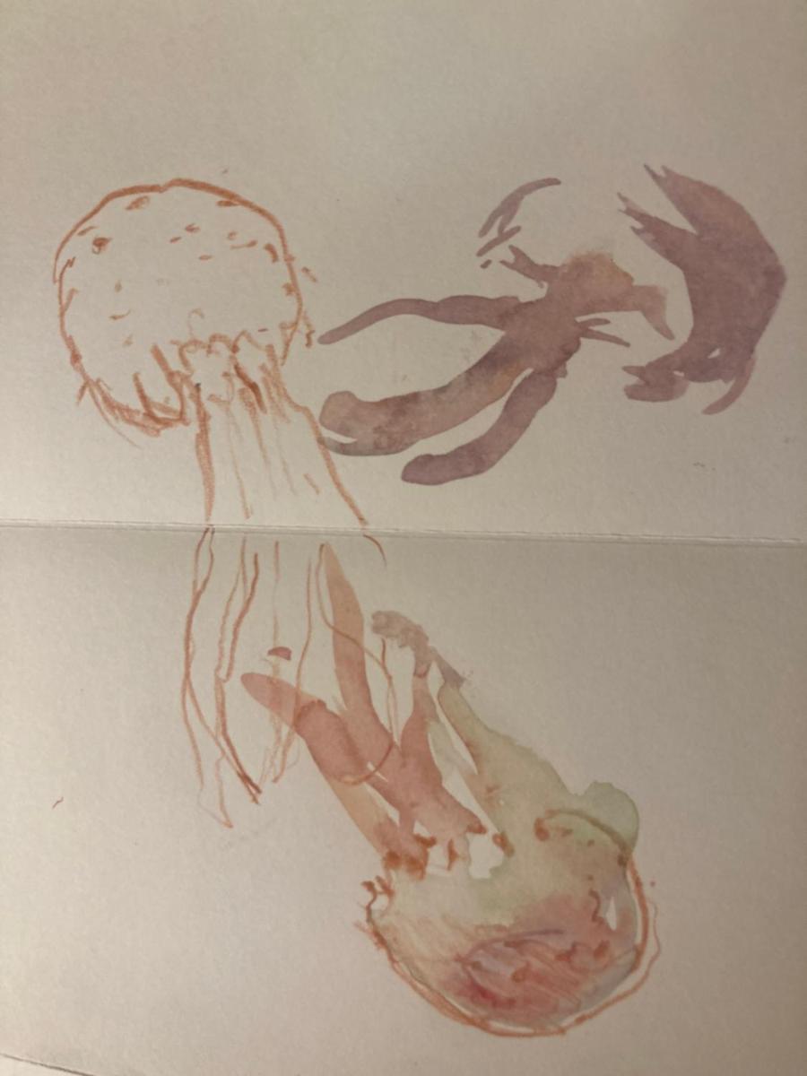 Hotel Hevresac Singular & Small