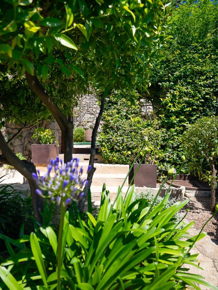 Hotel & Restaurant Jardi d'Artà
