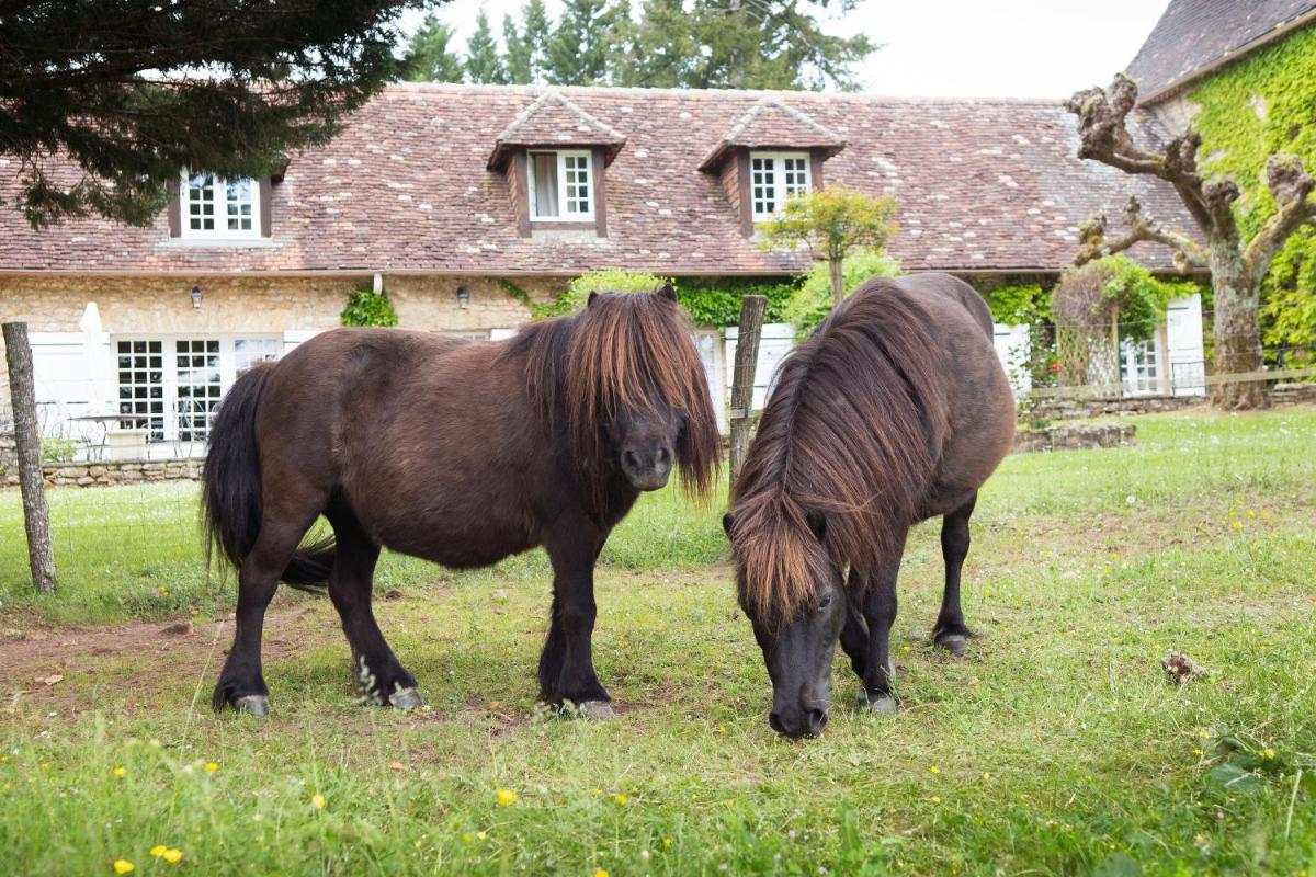 Hôtel La Métairie - Teritoria- Les Collectionneurs
