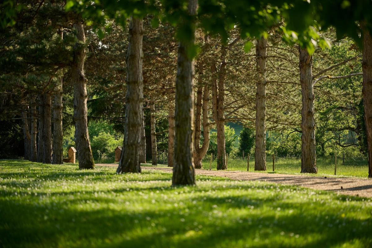 Hôtel La Métairie - Teritoria- Les Collectionneurs