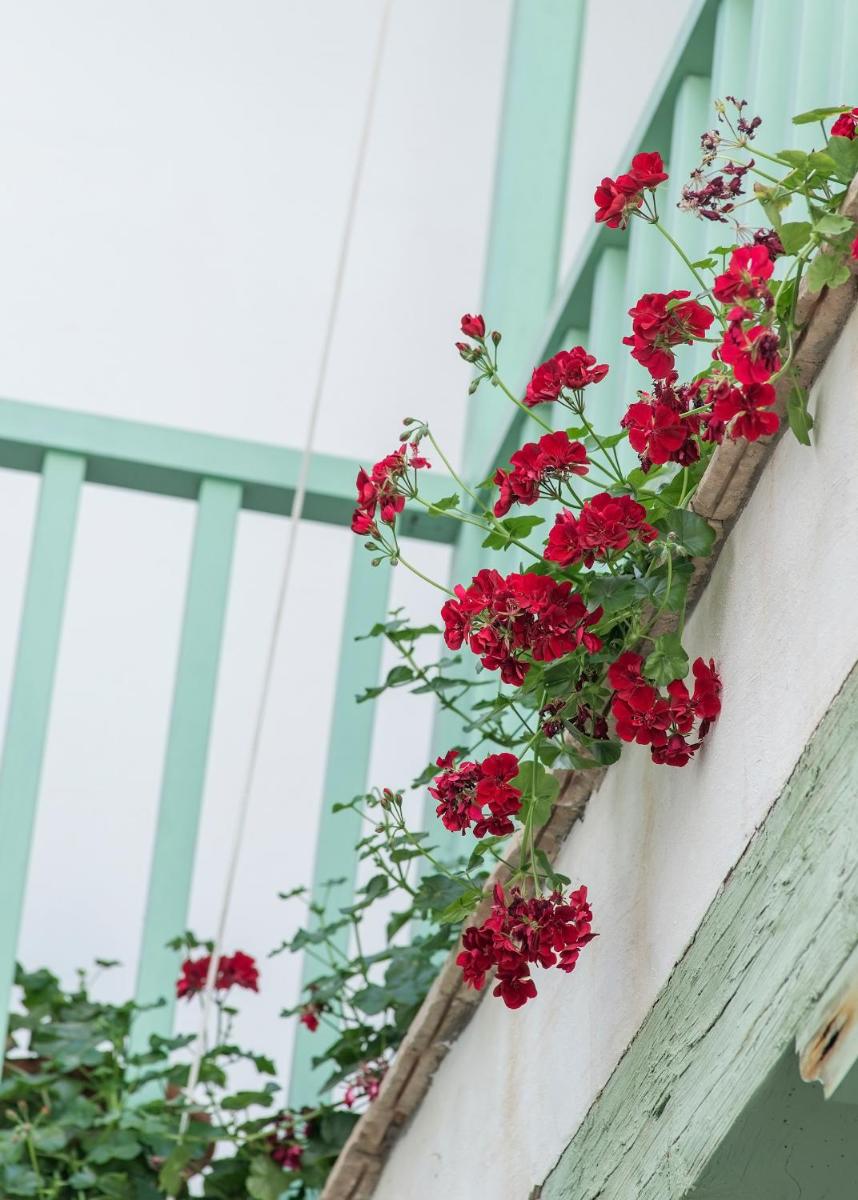 Hotel Las Casas de la Judería
