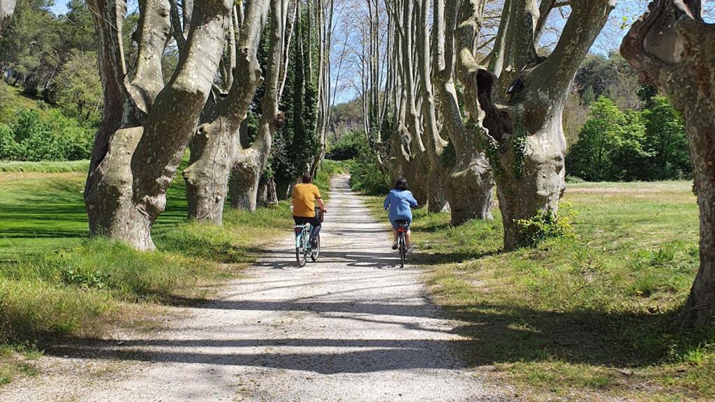 Le Moulin de Vernègues Hôtel & Spa