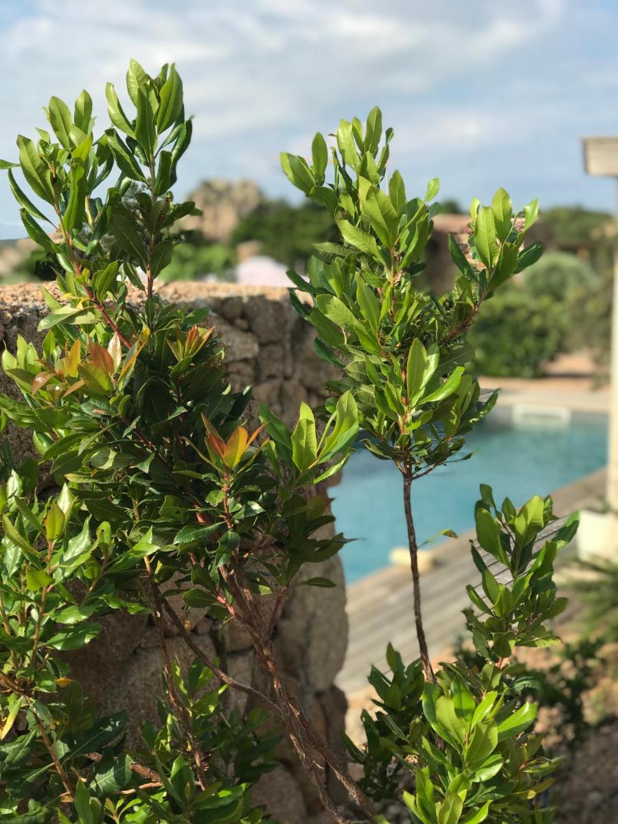 Hotel Les Chambres de Mila Bonifacio