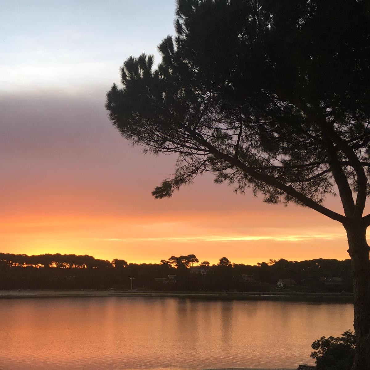 Les Hortensias du Lac - Fontenille Collection