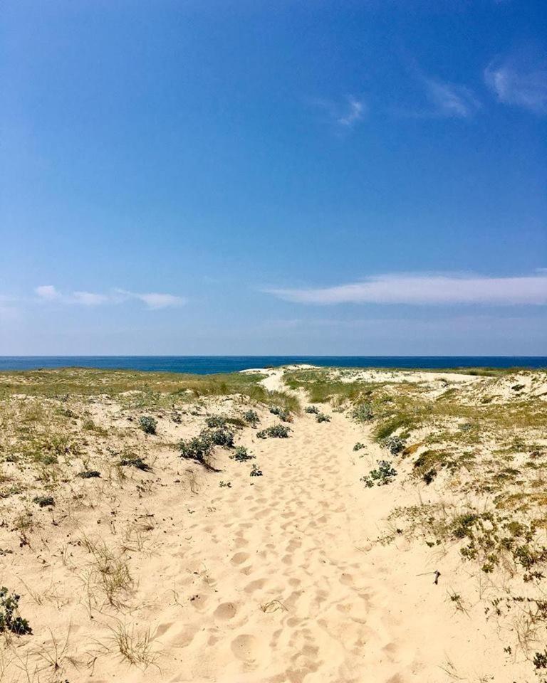 Les Hortensias du Lac - Fontenille Collection