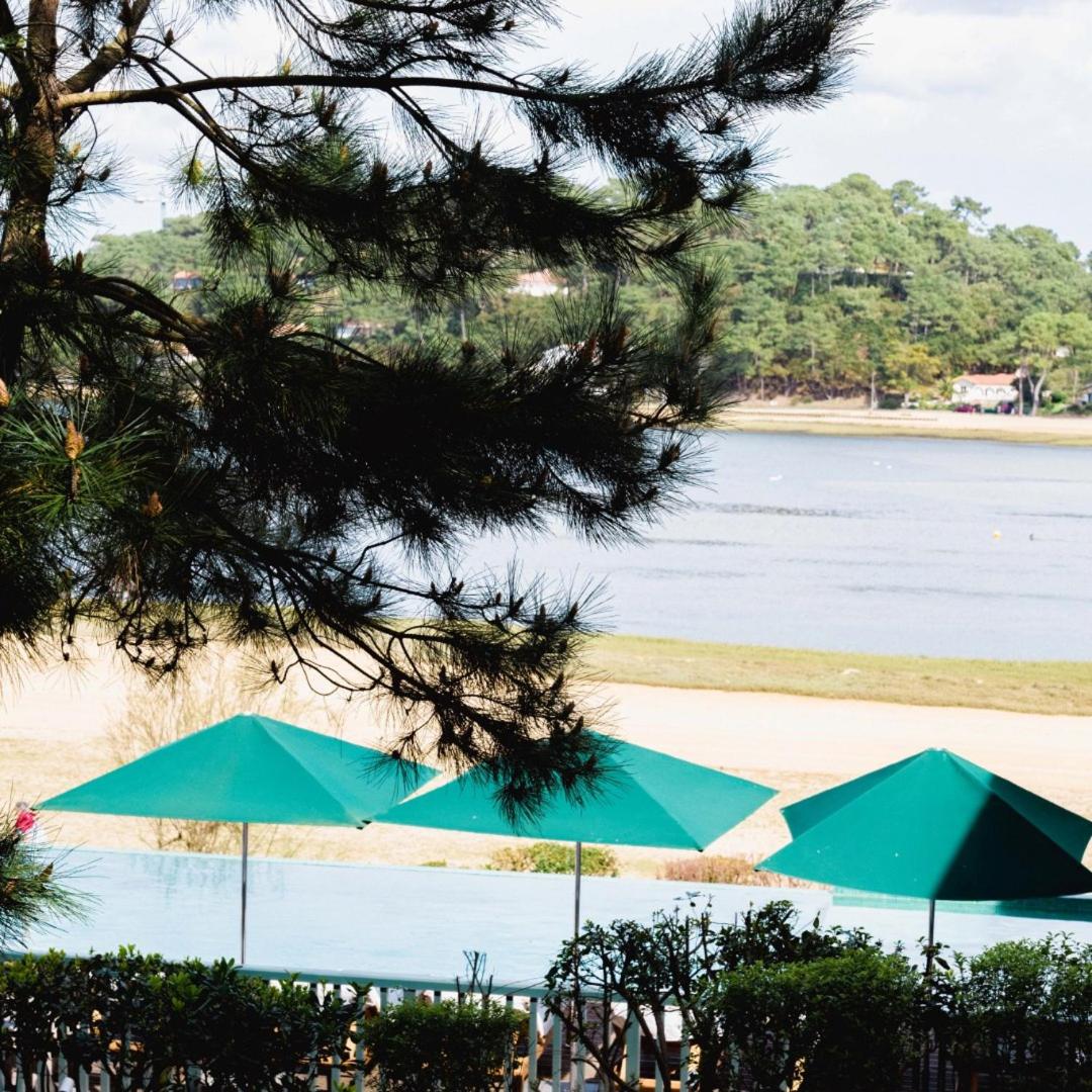 Les Hortensias du Lac - Fontenille Collection