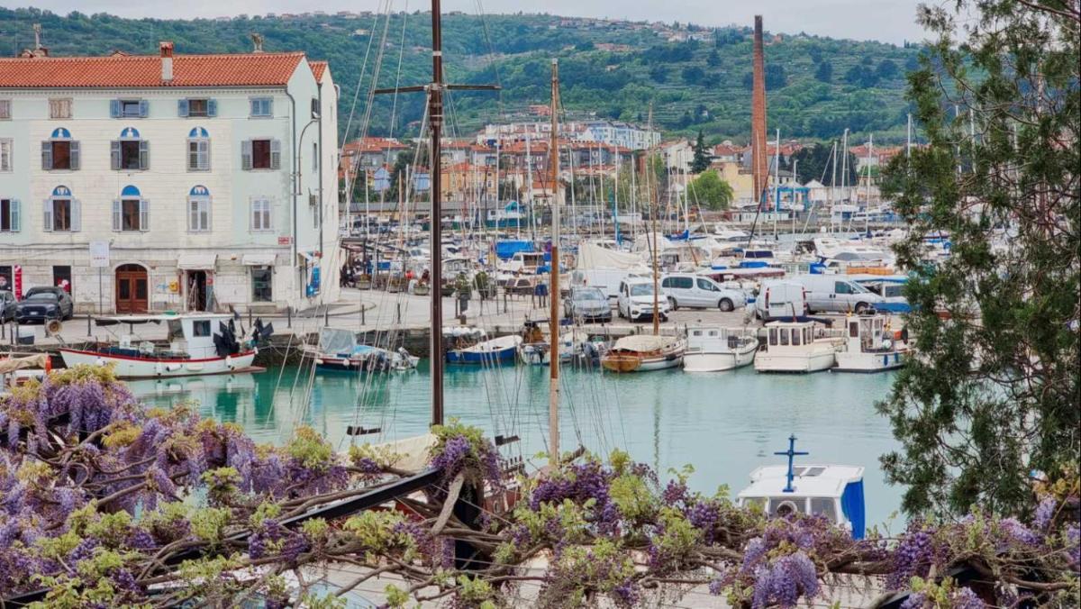 Hotel Marina