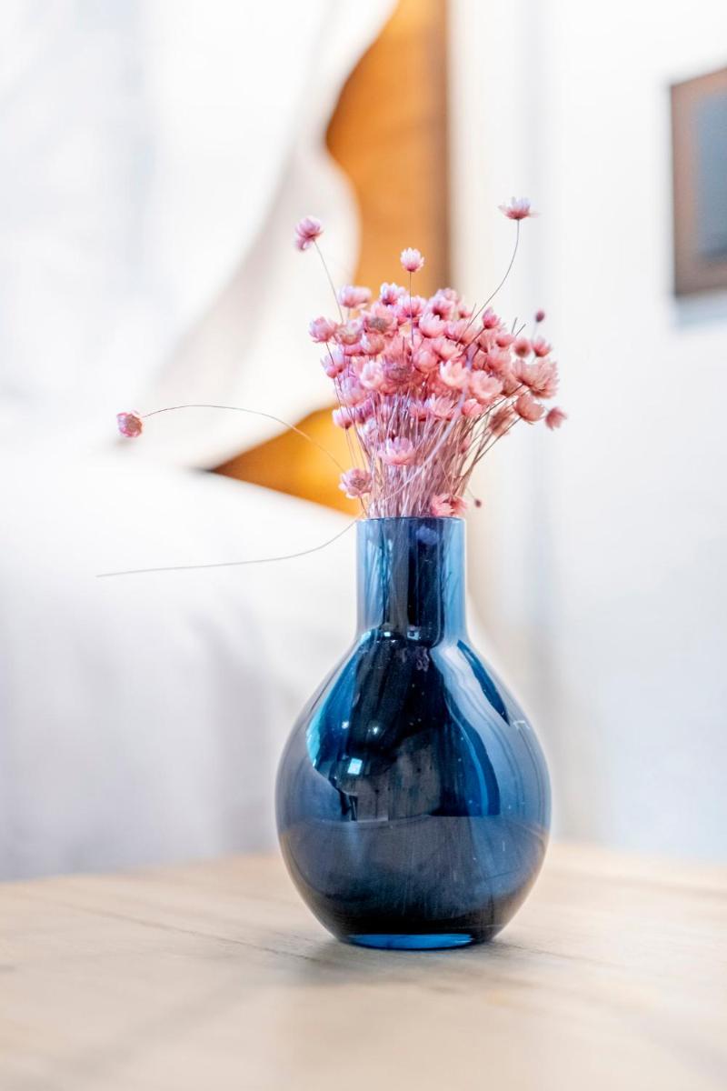 Hotel Mas la Ferreria