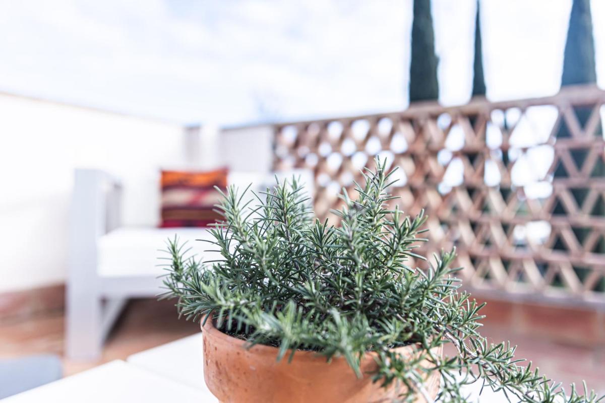 Hotel Monells Summum