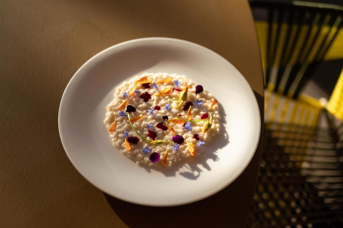 Muchele Boutique Hotel