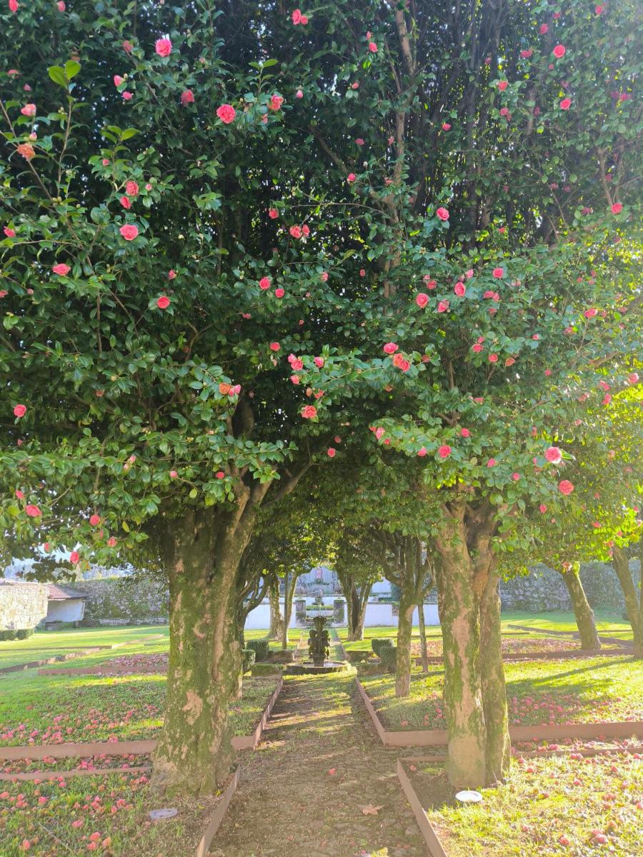 Hotel Paço de Vitorino