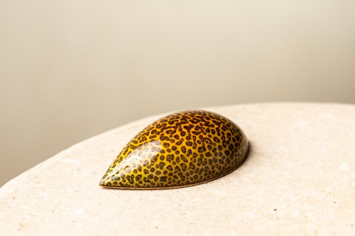 CoolRooms Palacio de Luces