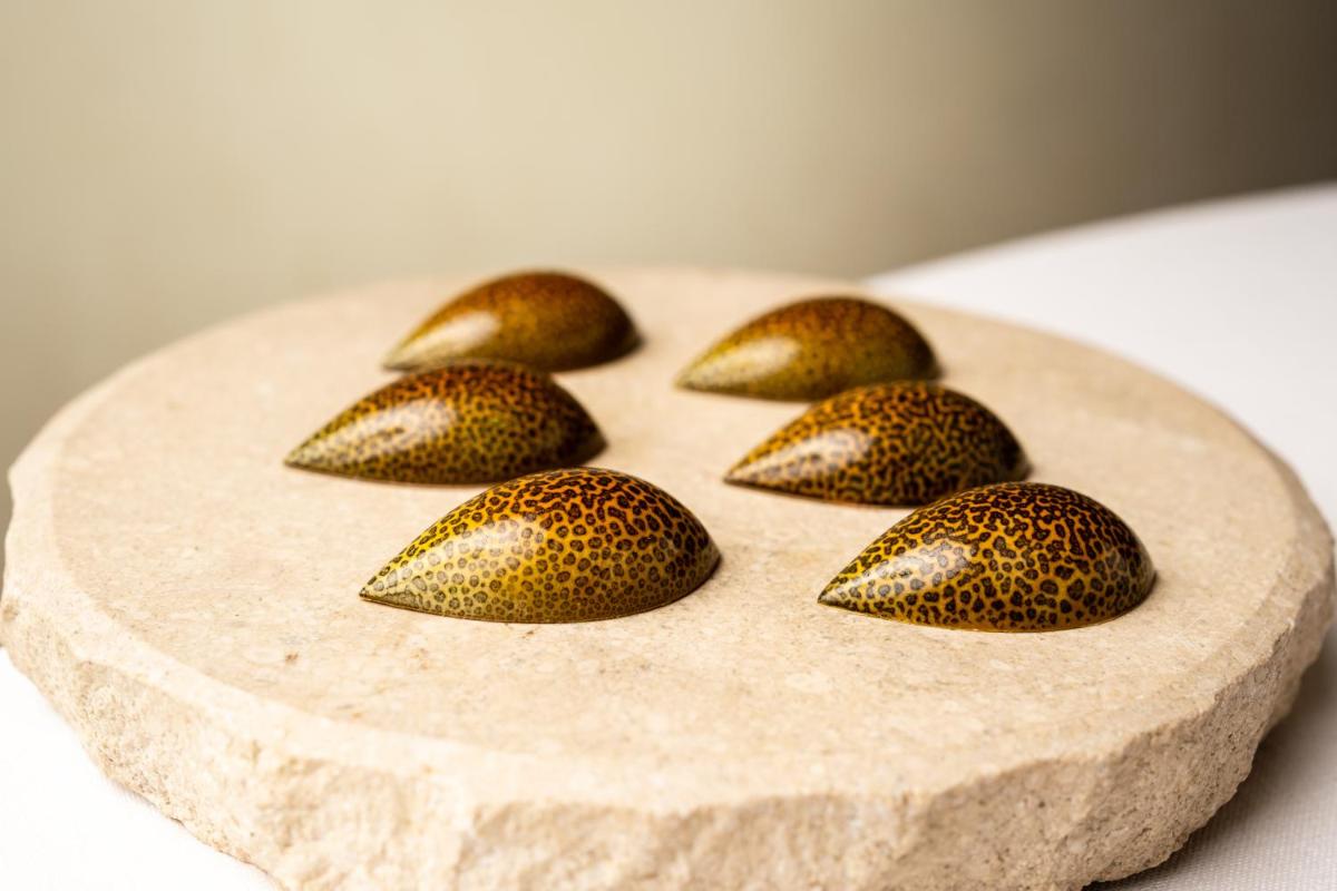 CoolRooms Palacio de Luces