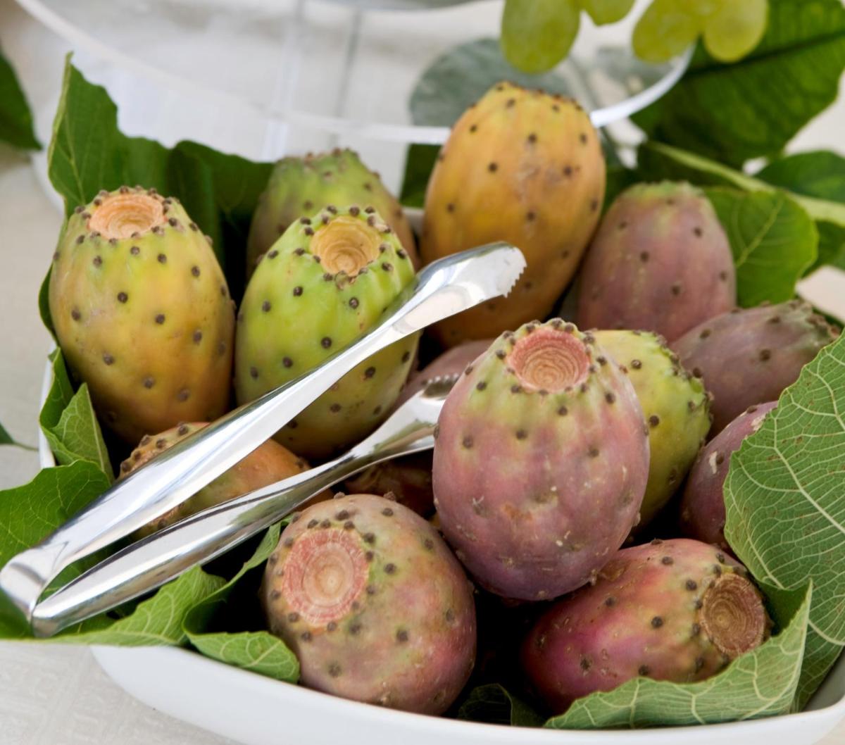 Hotel Palazzo Papaleo