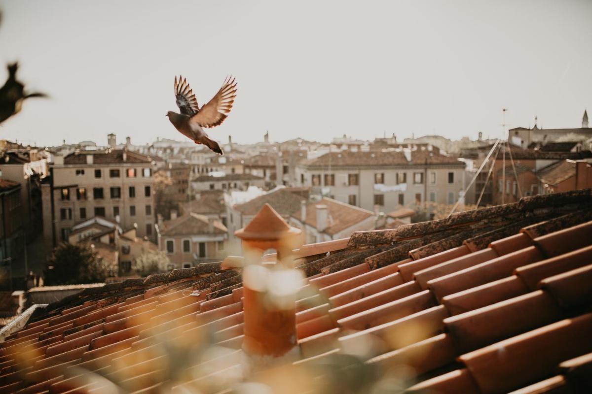 Papadopoli Hotel Venezia - MGallery Collection