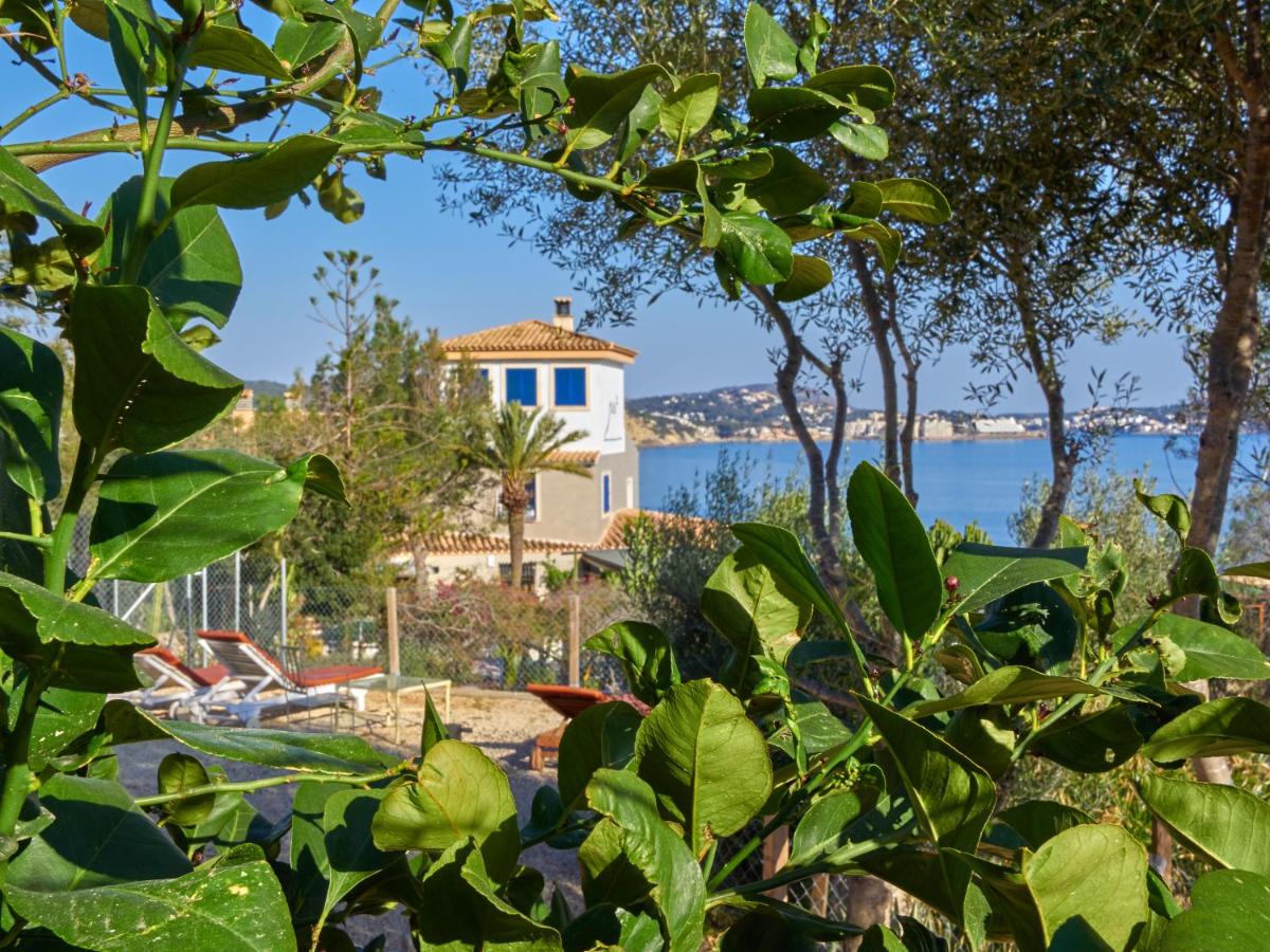 Hotel Petit Cala Fornells